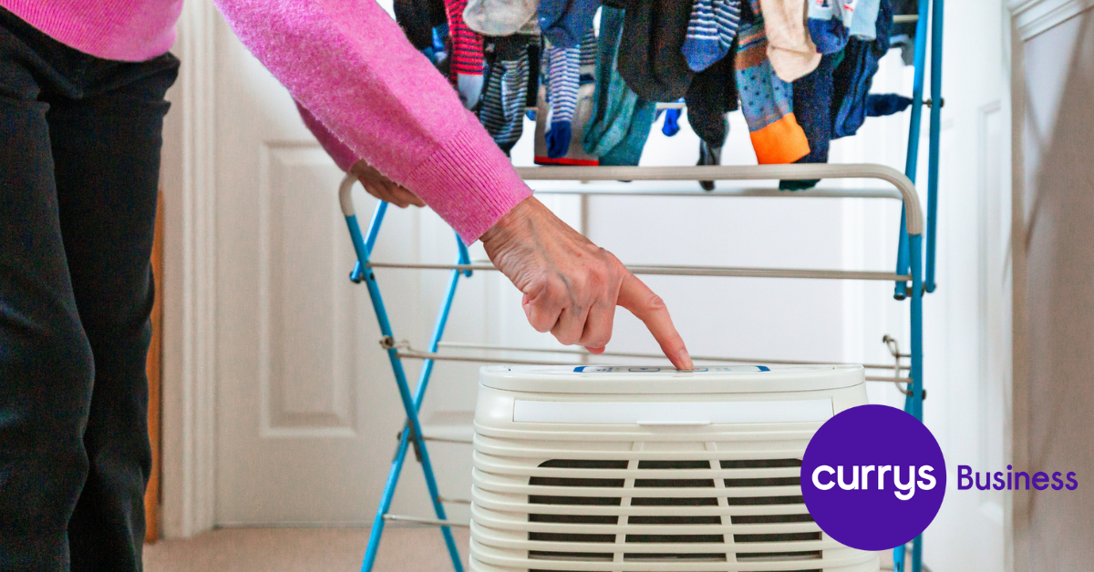 What does a dehumidifier do?