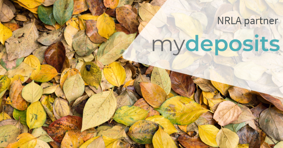 Autumn property pitfalls: 8 landlord tips to avoid winter woes