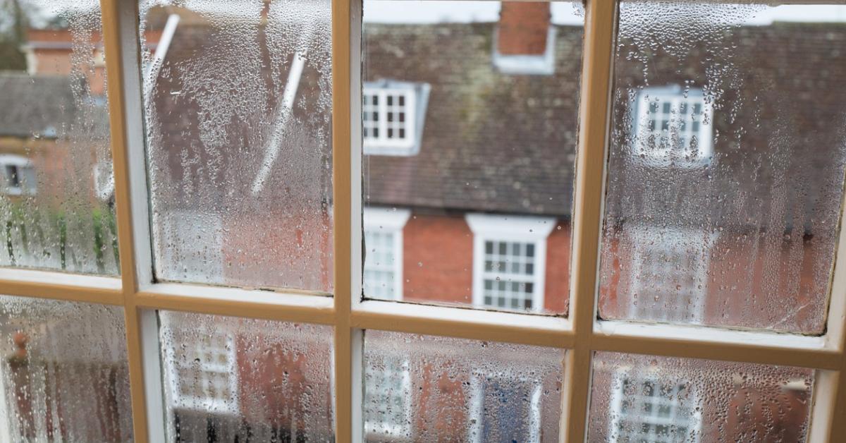 NRLA runs proptech pilot tackling damp and mould