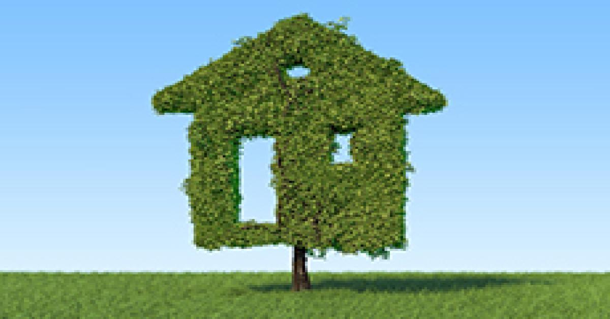 Green Homes Grants: what landlords need to know