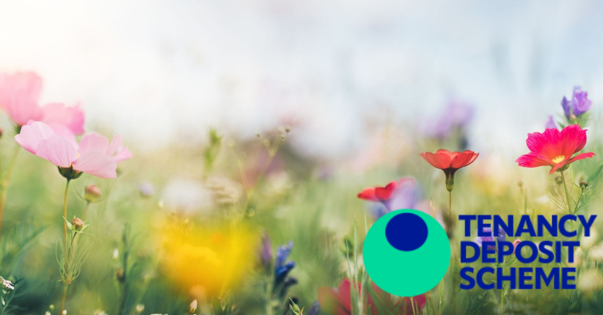 Summer Q&A - Your questions answered
